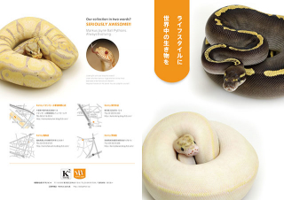 東京都の「Kenny」様の二つ折会社案内パンフレットの制作と印刷