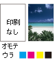 表印刷なし、裏フルカラー